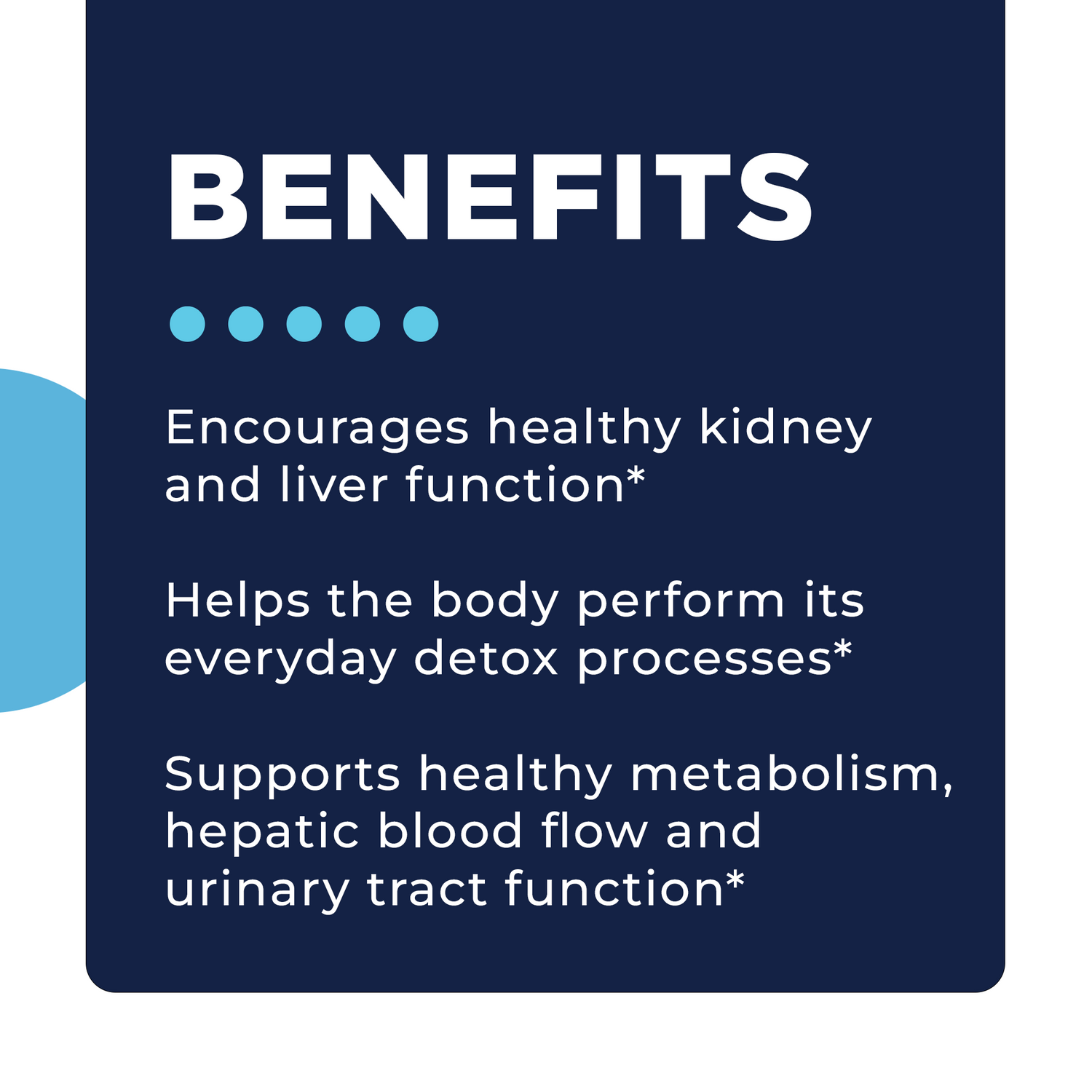 KL Support Benefits