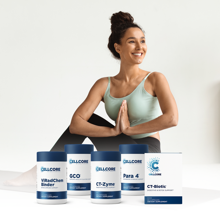 C.A. Support Bundle