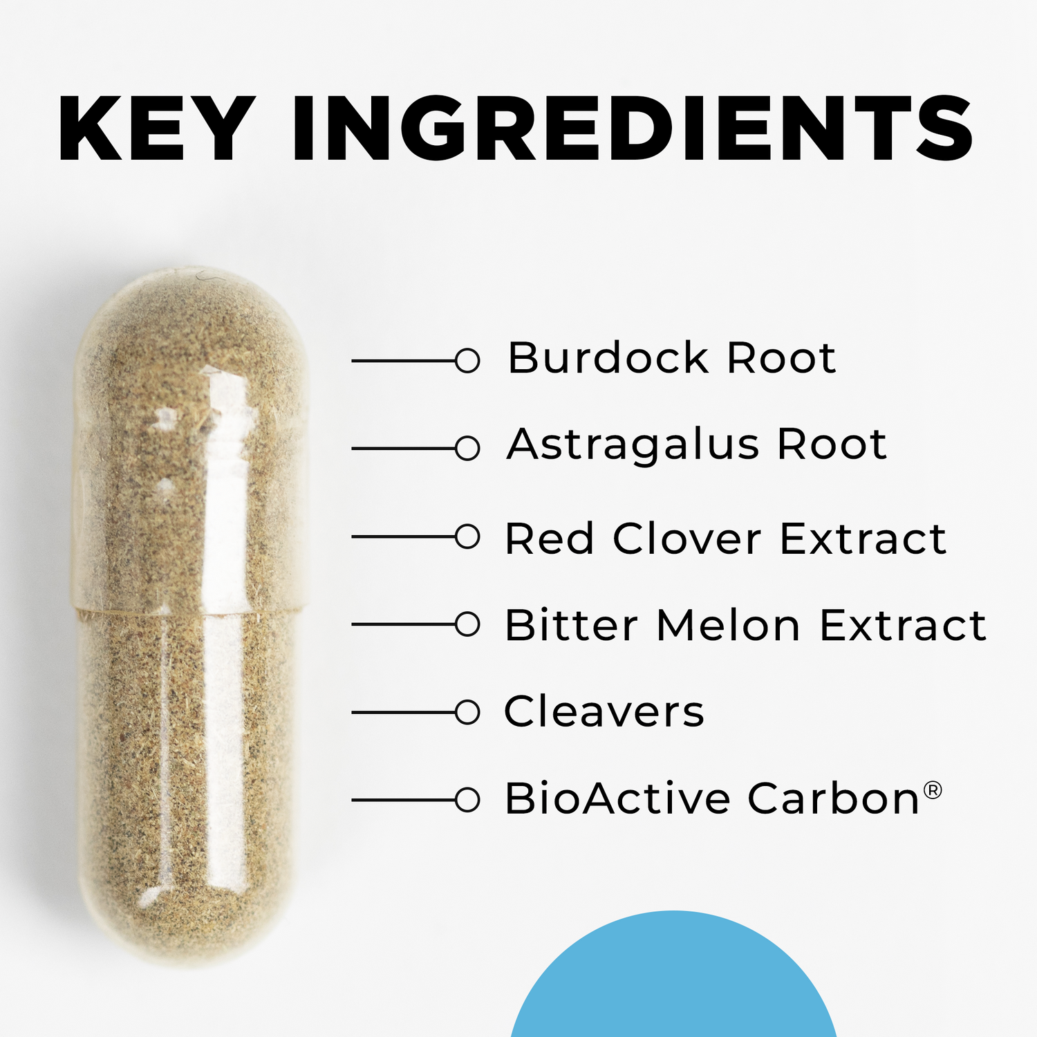 LymphActiv Key Ingredients