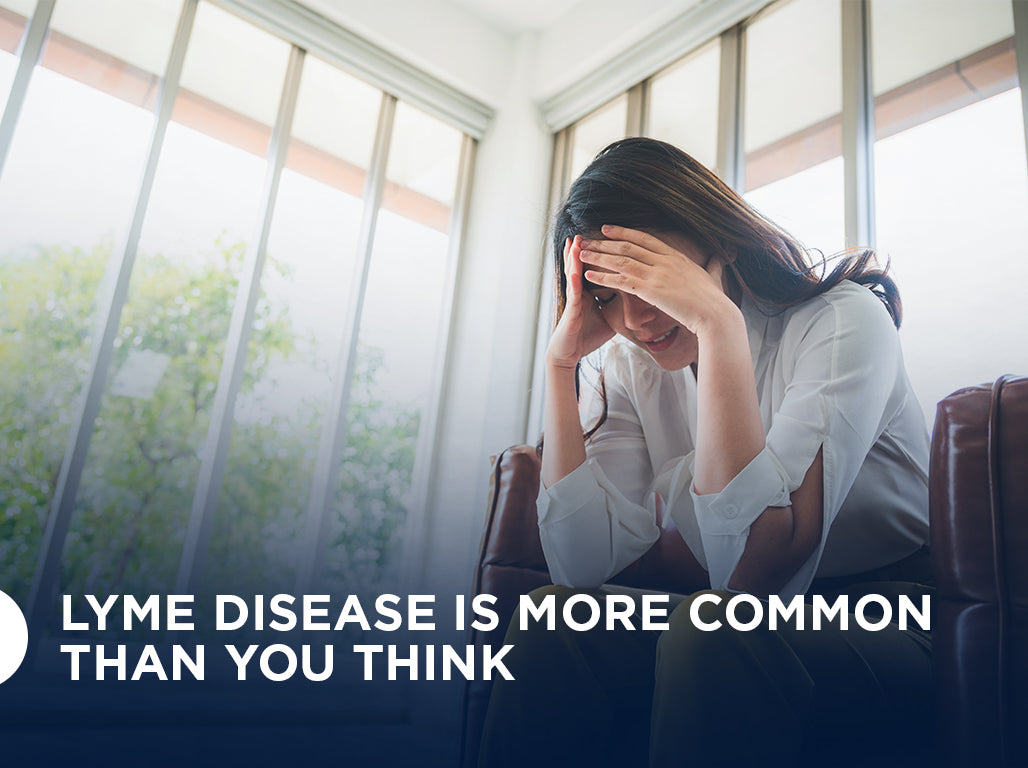 Lyme Disease Is More Common Than You Think