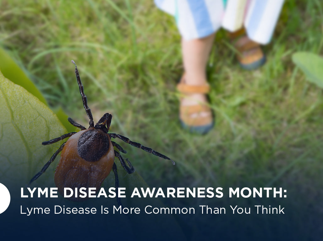 Lyme Disease Awareness Month: Lyme Disease Is More Common Than You Think
