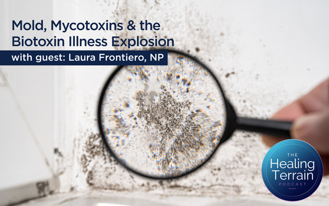 Mold, Mycotoxins & the Biotoxin Illness Explosion