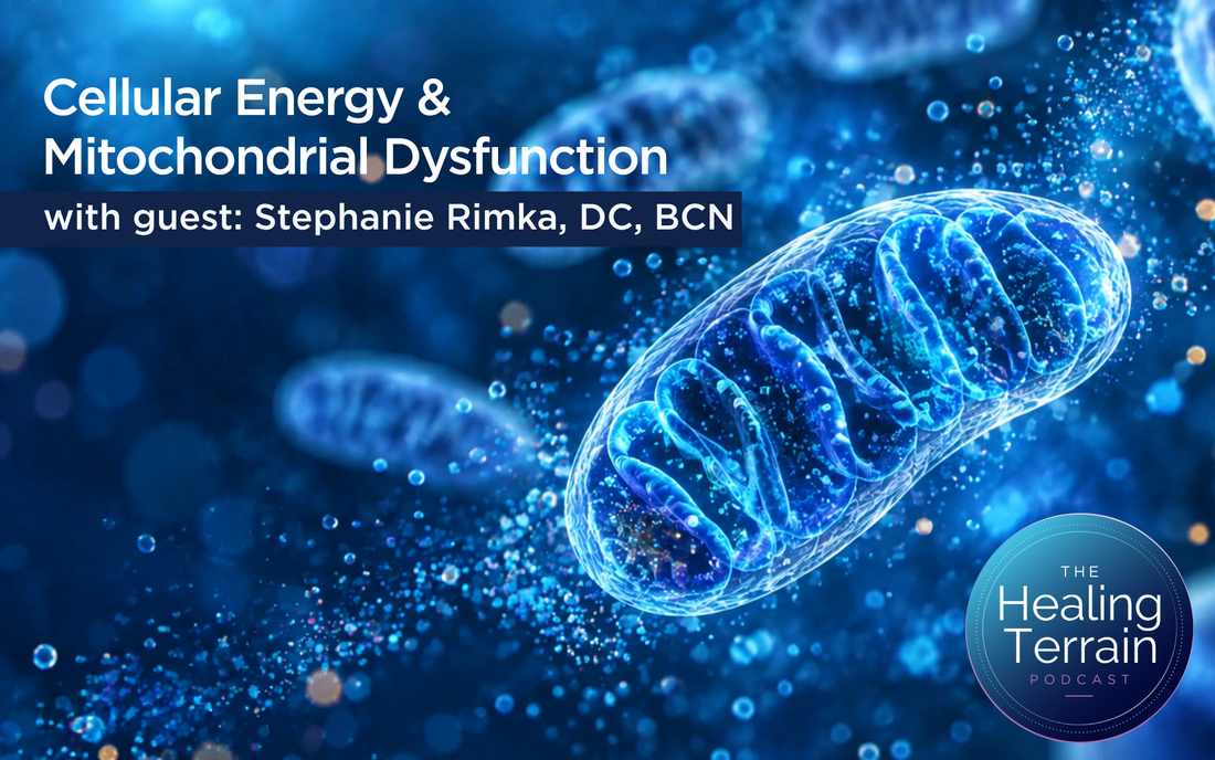 Cellular Energy & Mitochondrial Dysfunction