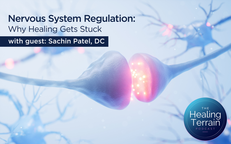 Nervous System Regulation: Why Healing Gets Stuck
