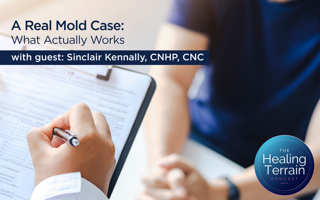 A Real Mold Case: What Actually Works
