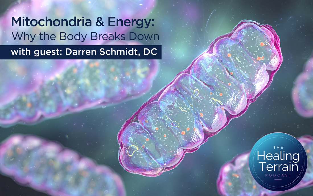 Mitochondria & Energy: Why the Body Breaks Down