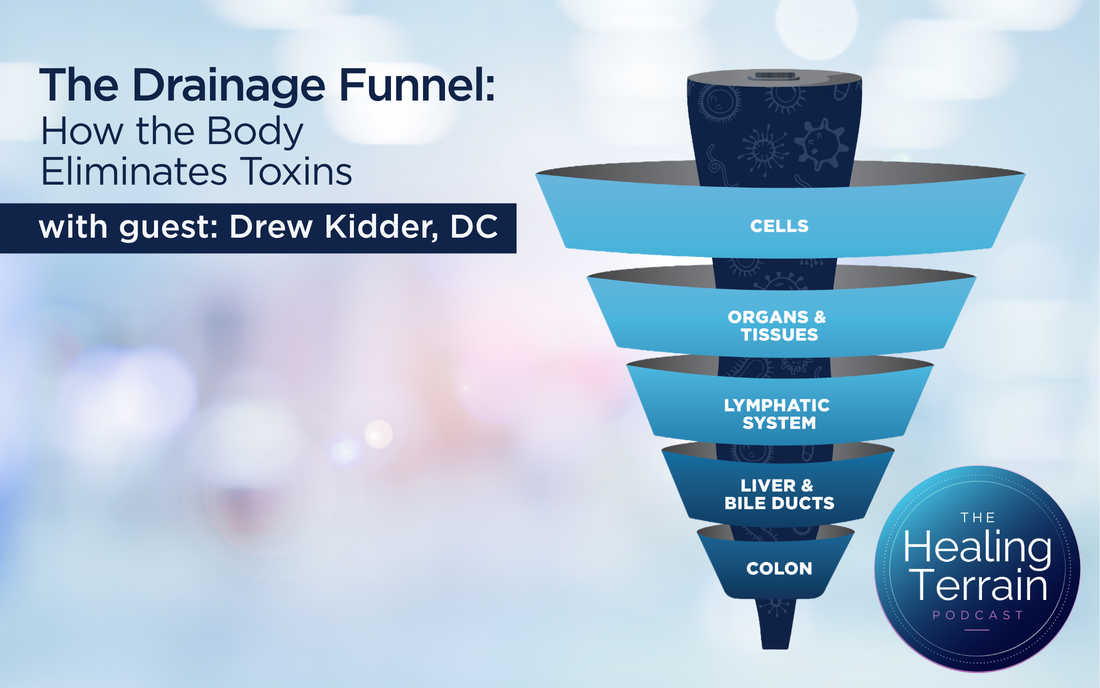 The Drainage Funnel: How the Body Eliminates Toxins