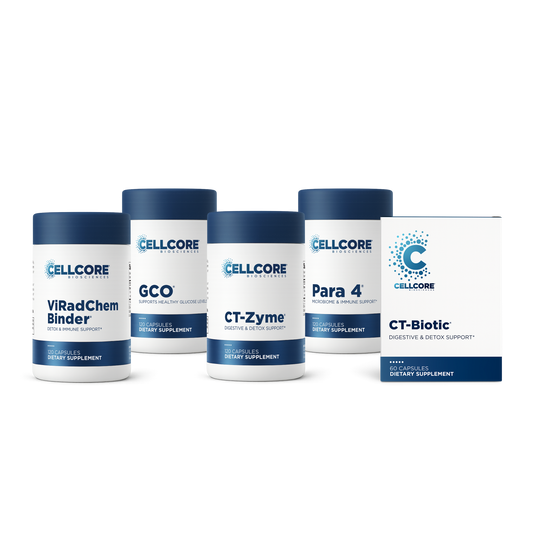 C.A. Support Bundle