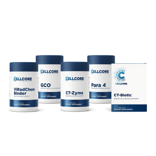 C.A. Support Bundle