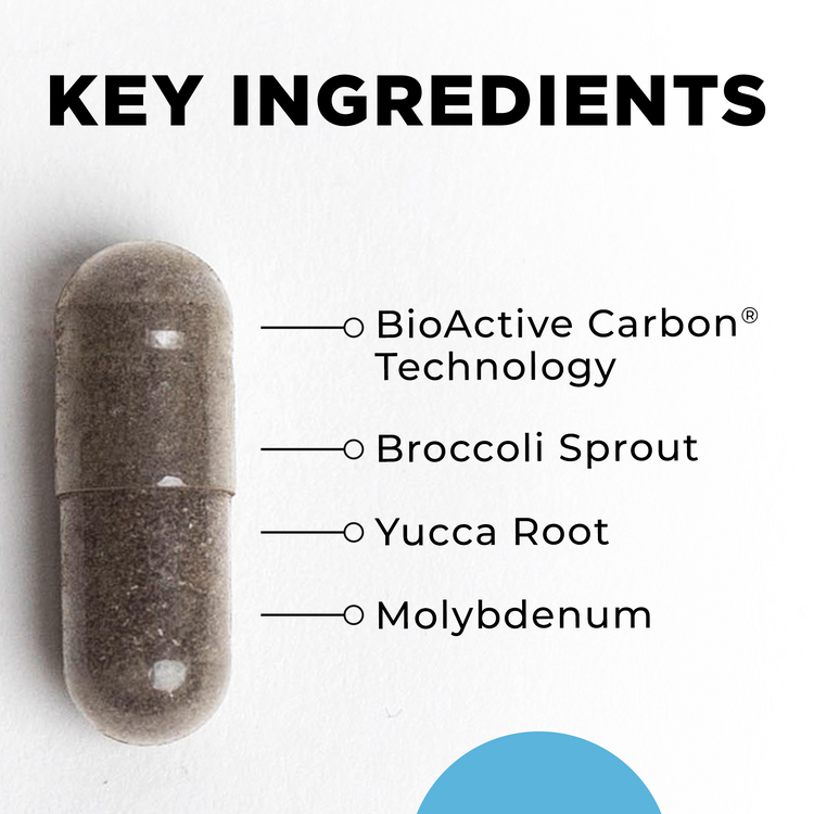 BioToxin Binder Key Ingredients