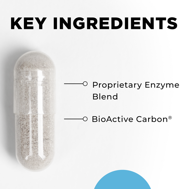 CT-Zyme Key Ingredients