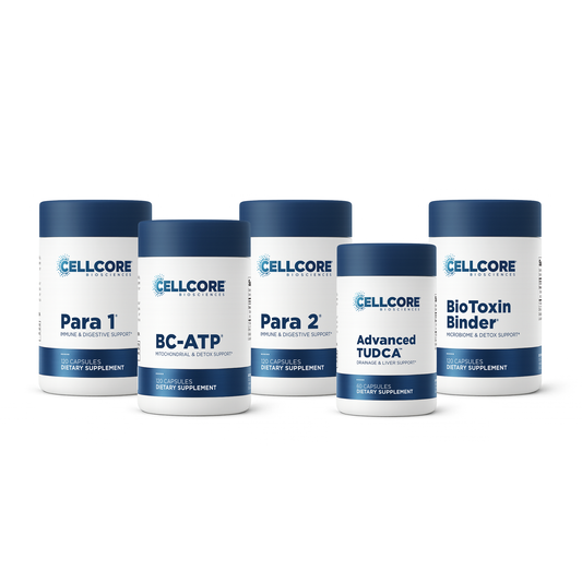 Phase 2: Gut & Immune Support