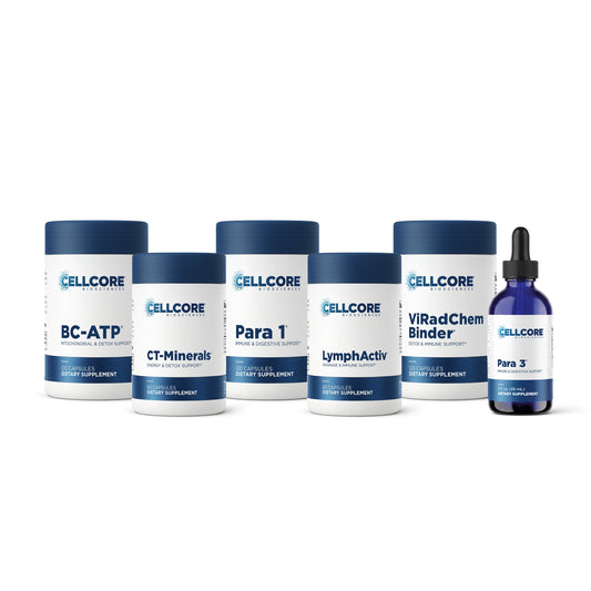 Phase 3: Whole Body Immune Support