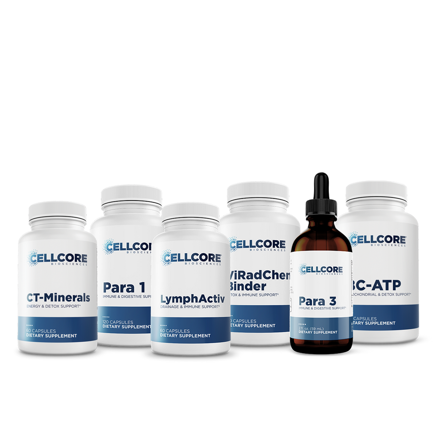 Phase 3: Whole Body Immune Support
