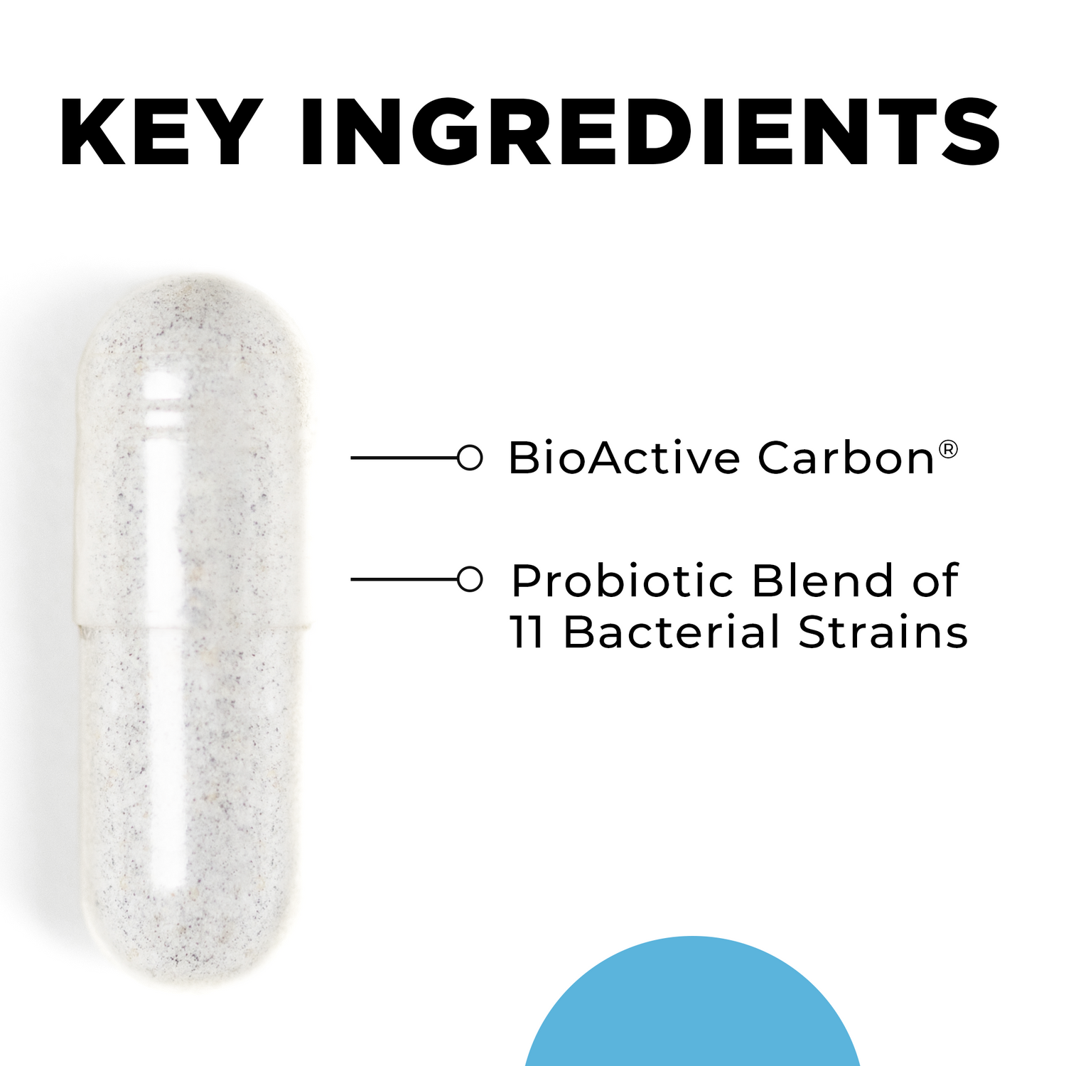 CT-Biotic Ingredients