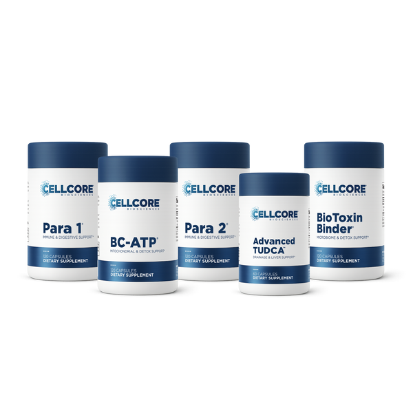 Phase 2: Gut & Immune Support