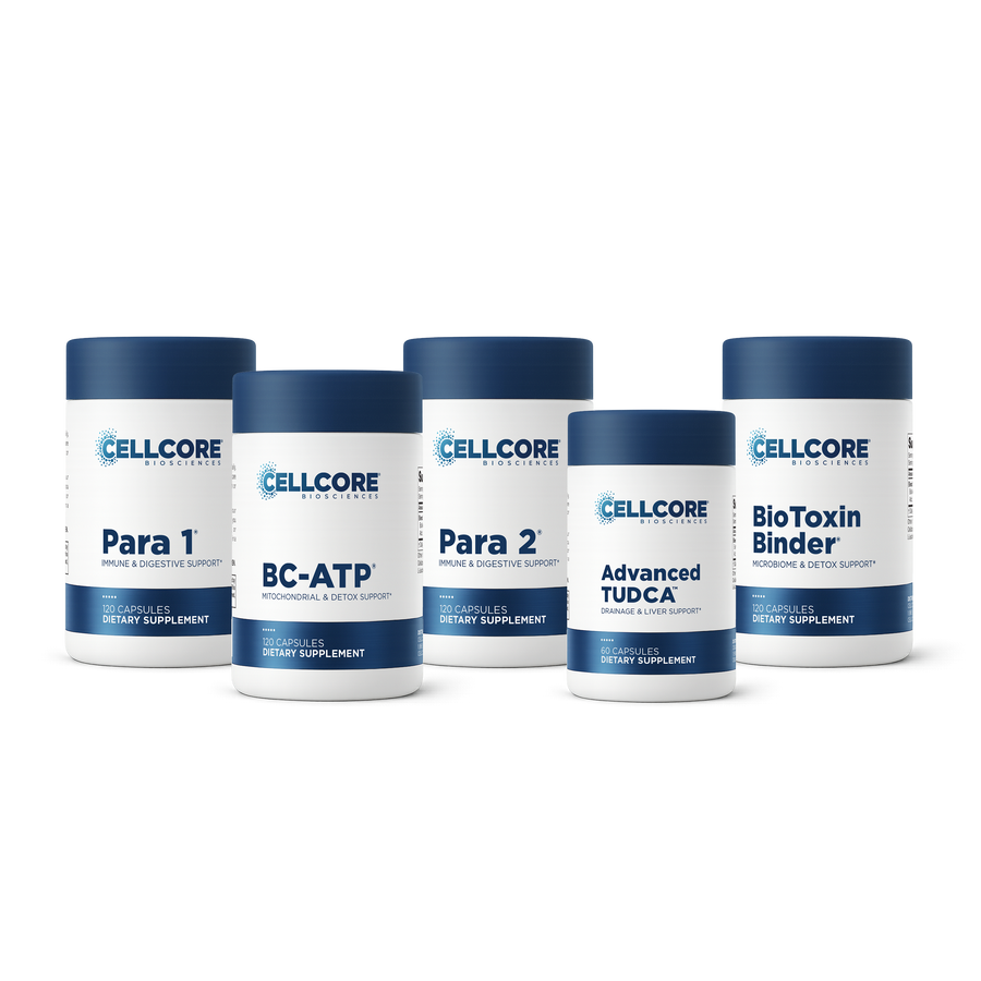 Phase 2: Gut & Immune Support
