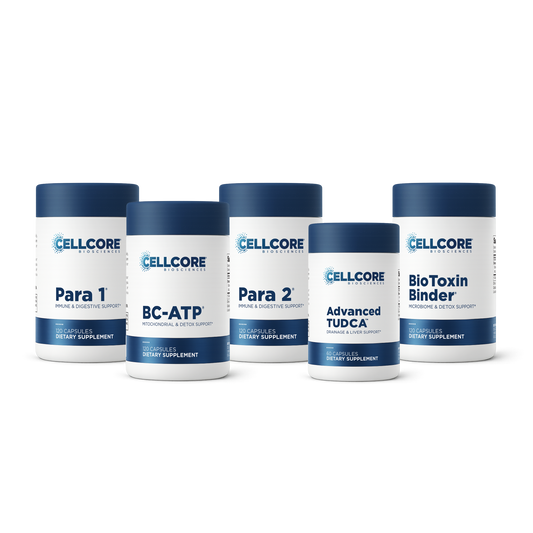 Phase 2: Gut & Immune Support