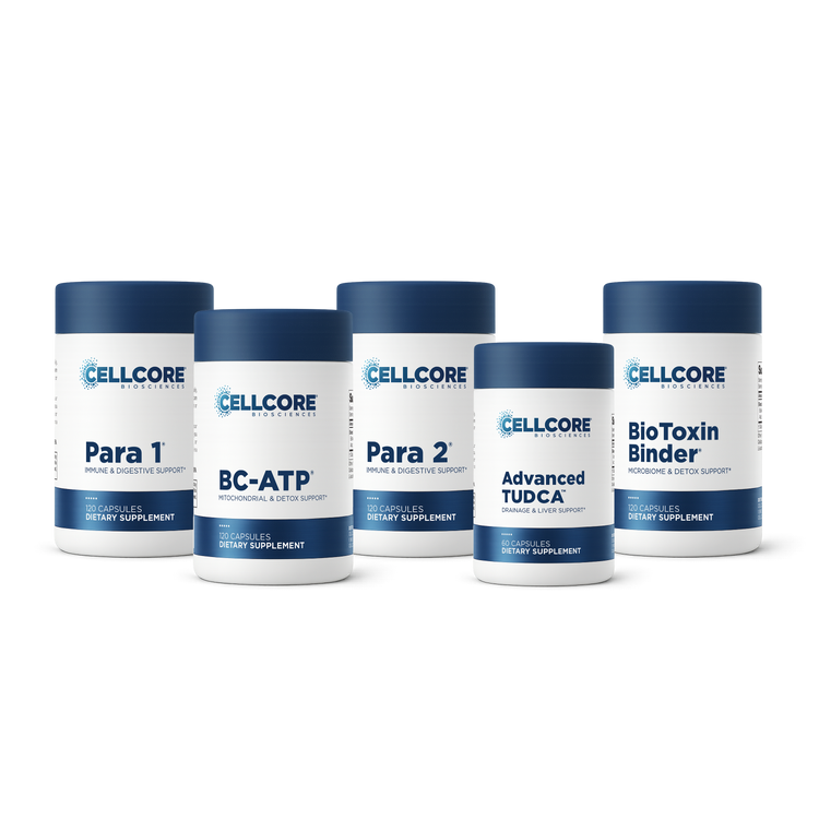 Phase 2: Gut & Immune Support
