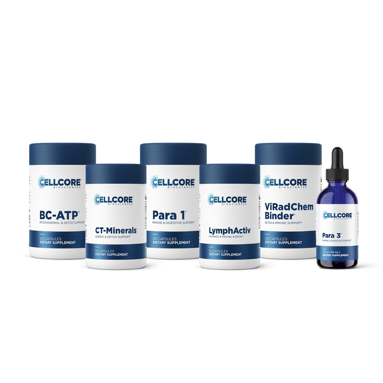 Phase 3: Whole Body Immune Support