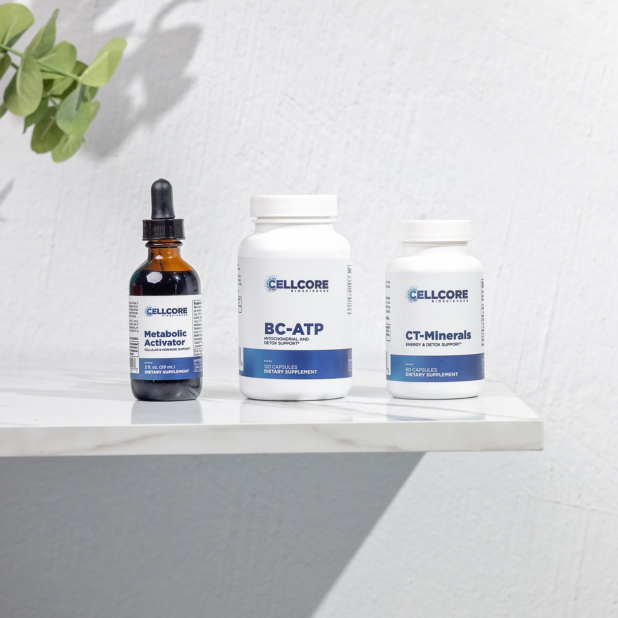 Energy Boost Kit - Energy Booster Support – CellCore Biosciences