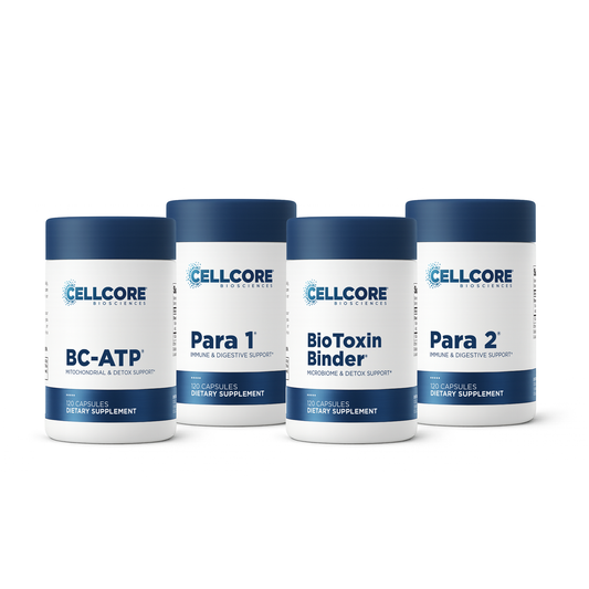 Step 2: Gut & Immune Support