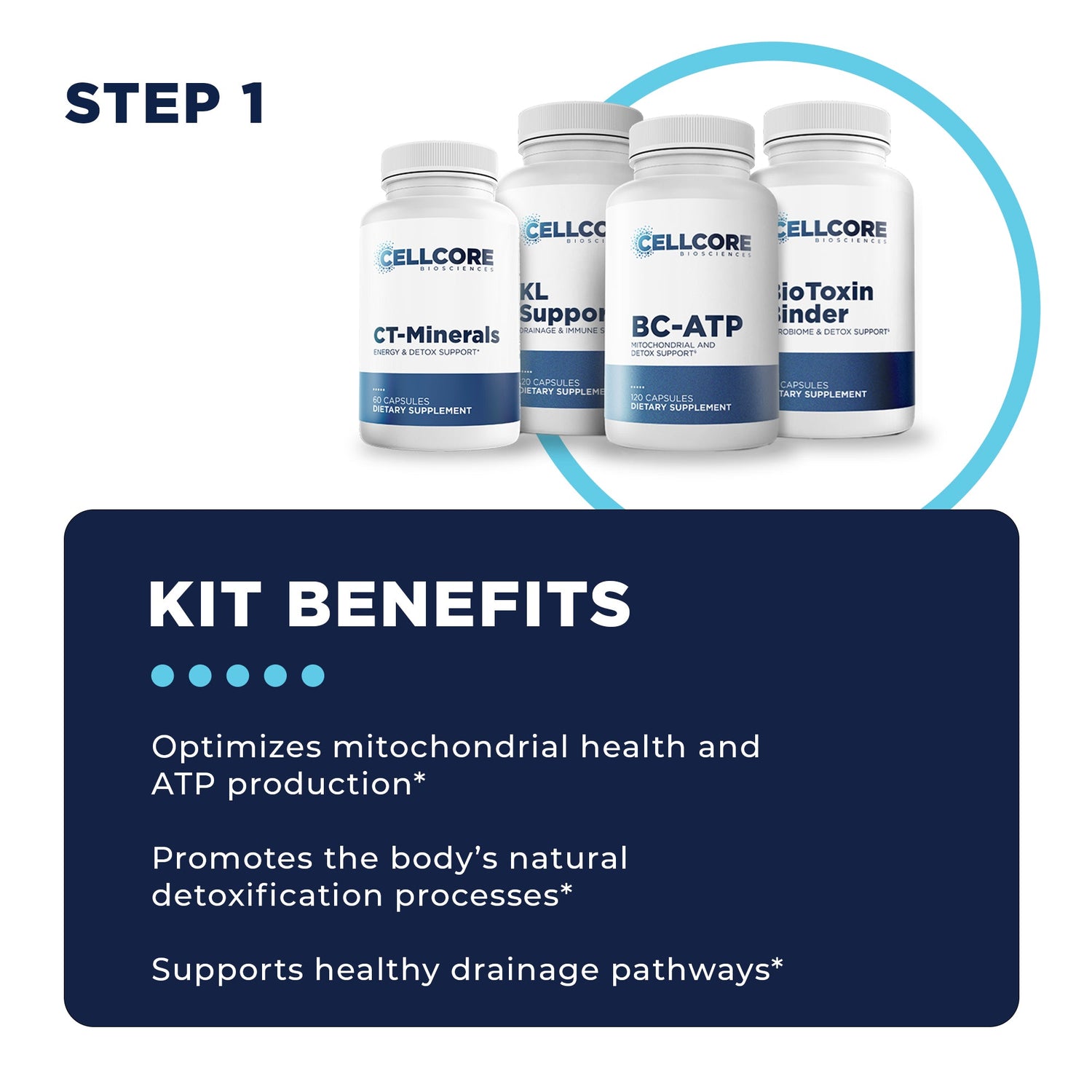 Foundational Protocol Step 1 Kit Benefits