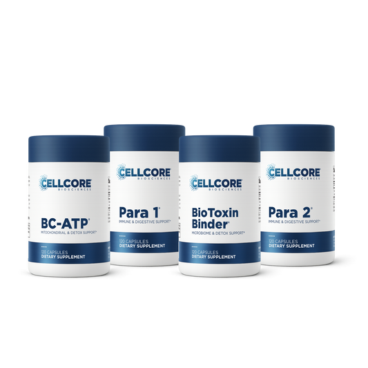 Step 2: Gut & Immune Support