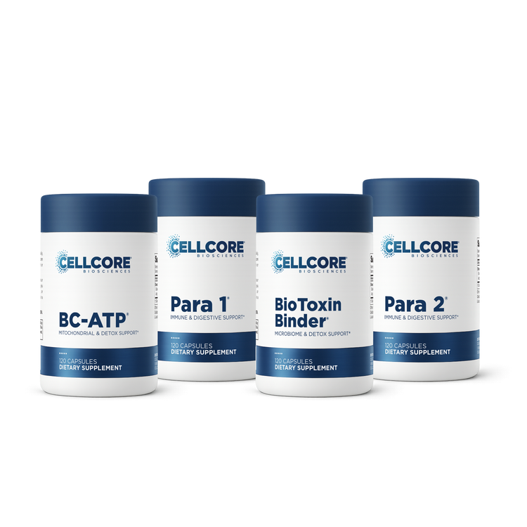 Step 2: Gut & Immune Support