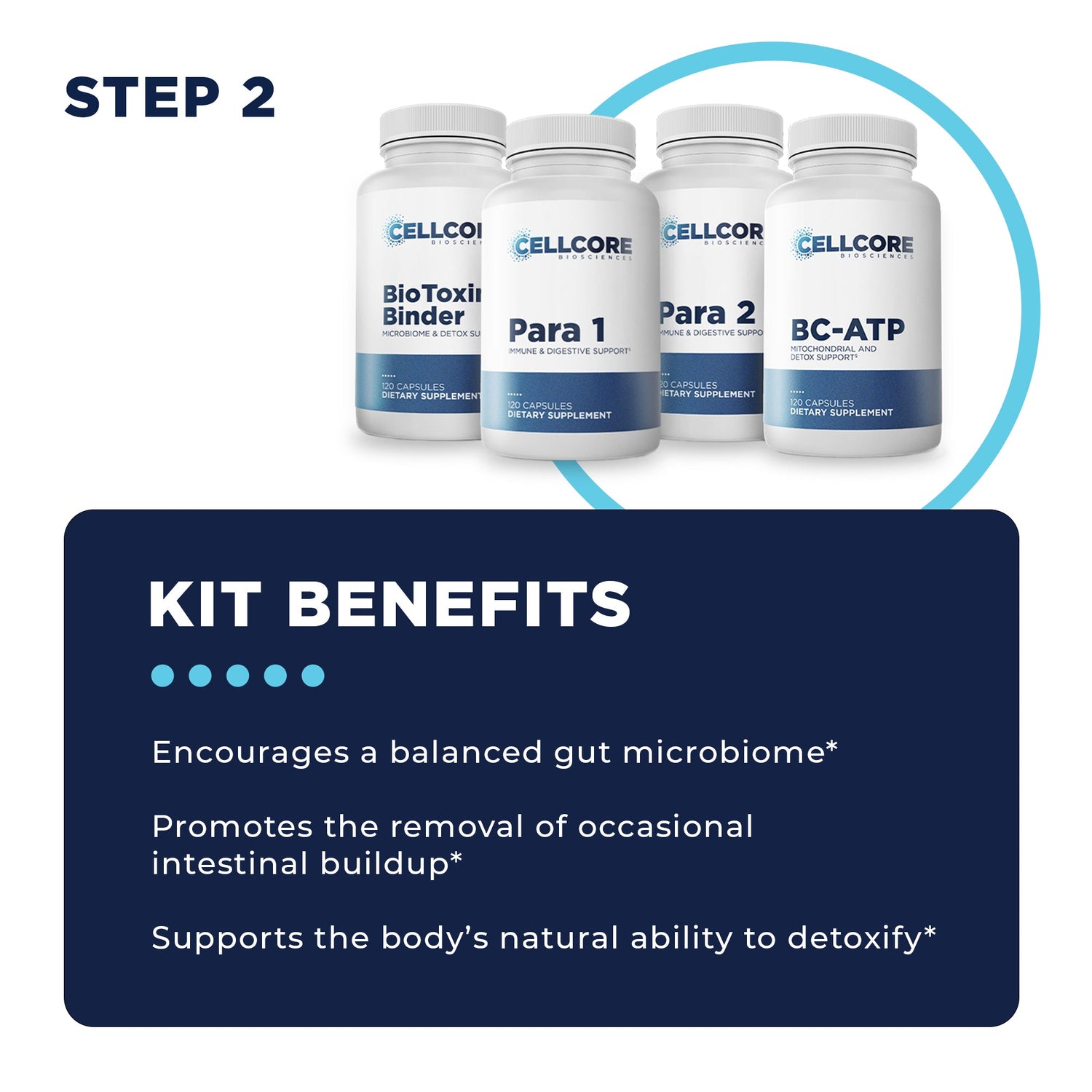 Foundational Protocol Step 2 Kit Benefits