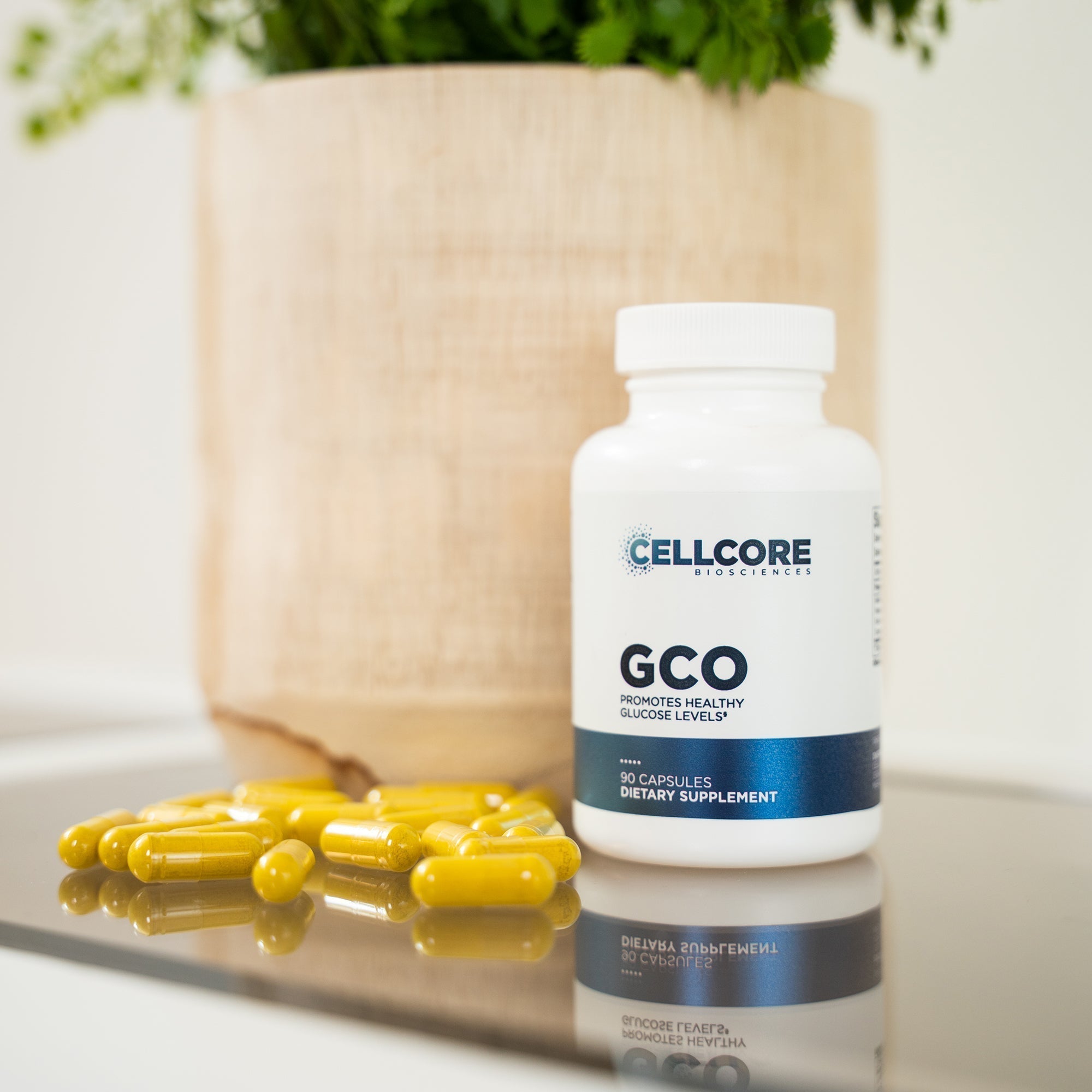 GCO_Lifestyle_Image.jpg?v=
