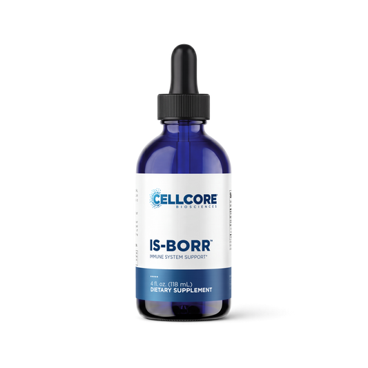 IS-BORR