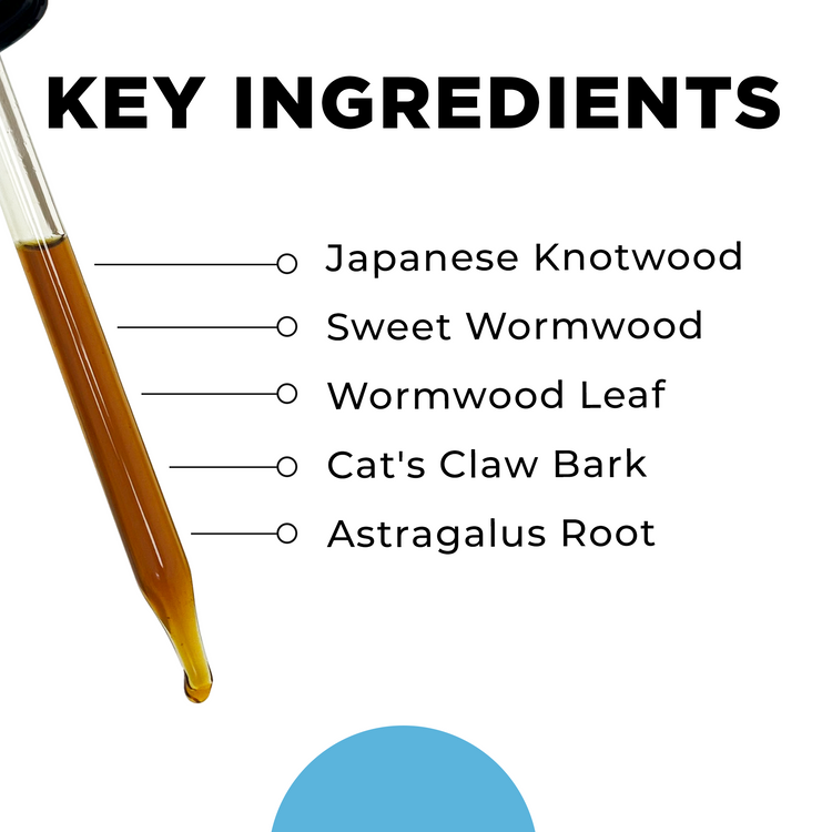 IS-BORR Key Ingredients