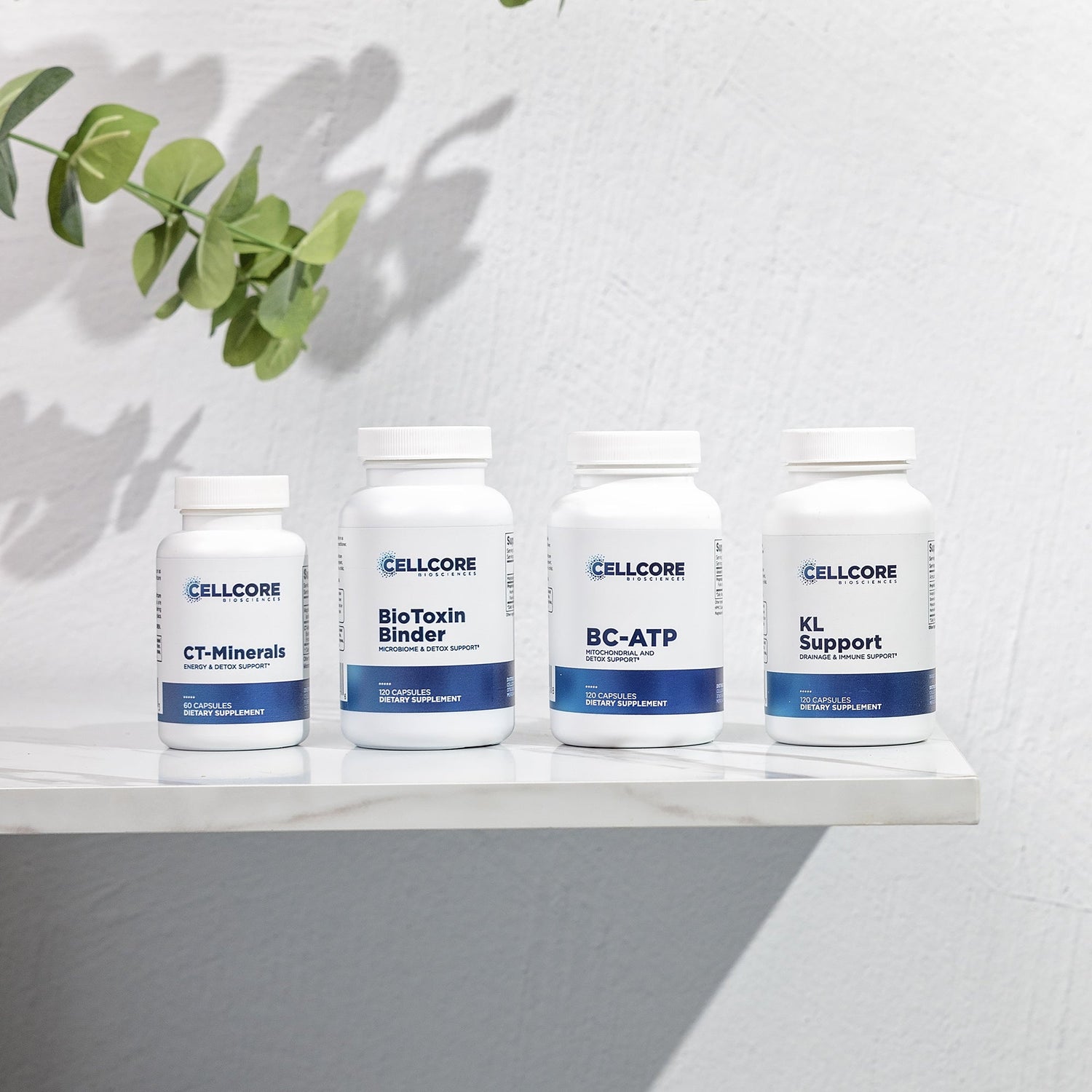 Jumpstart Kit - Detox Cleansing – CellCore Biosciences