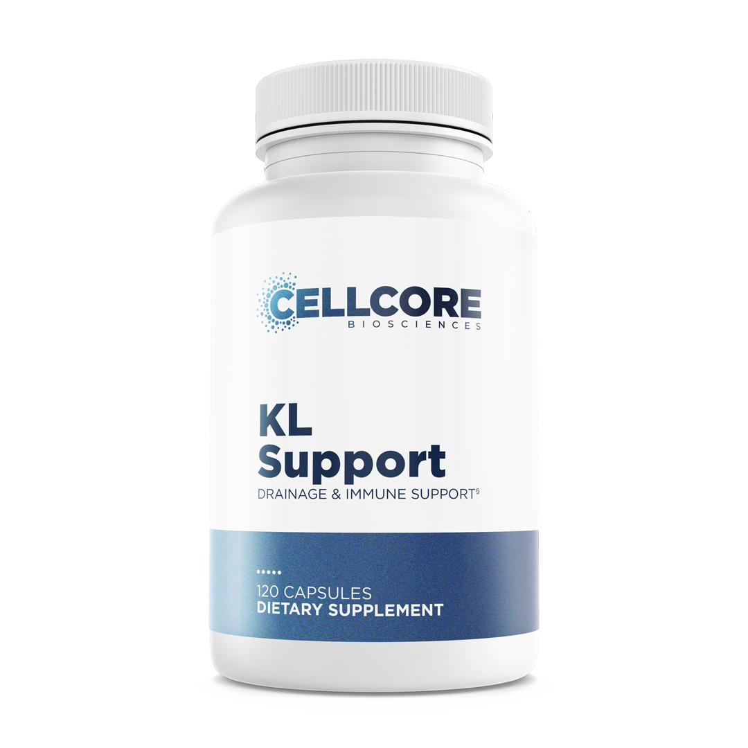 KL Support Mockup Image