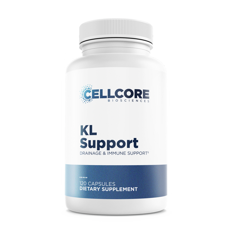 KL Support Mockup Image