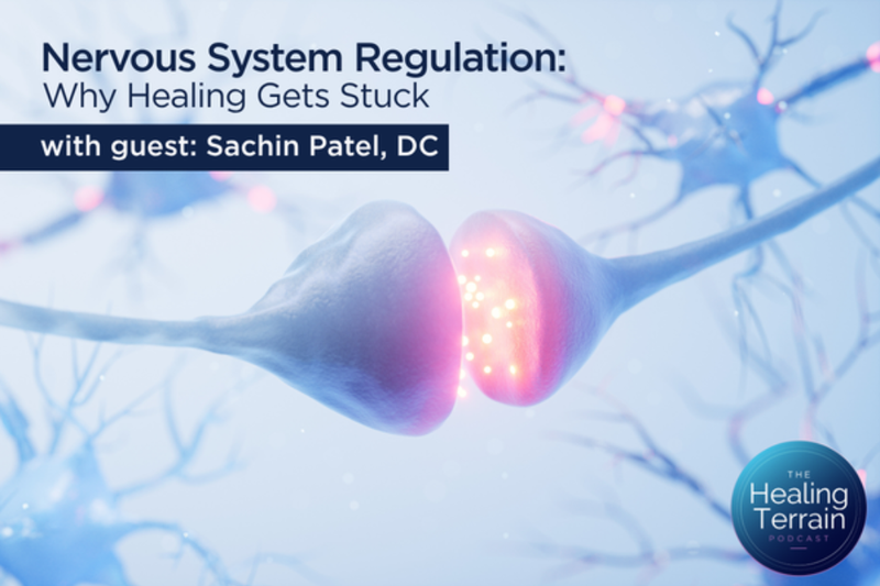 Nervous System Regulation: Why Healing Gets Stuck
