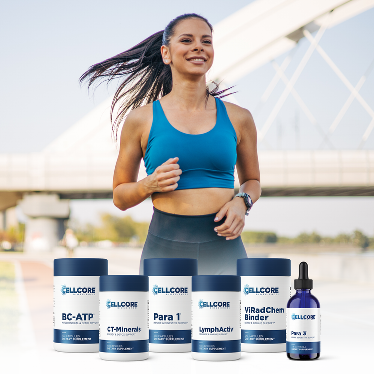Phase 3: Whole Body Immune Support