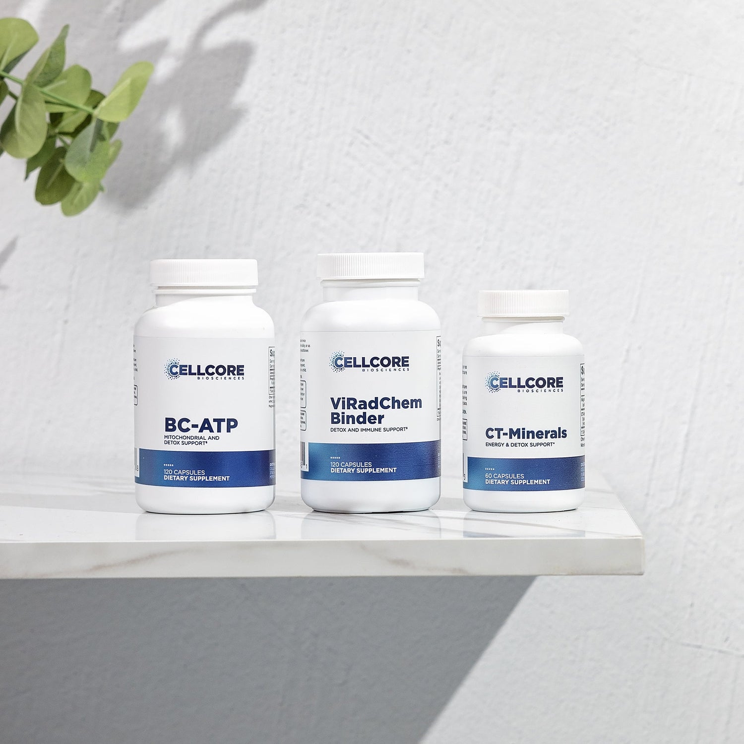 Cell Corepower Kit Maintenance Kit - Mineral Supplements – CellCore Biosciences