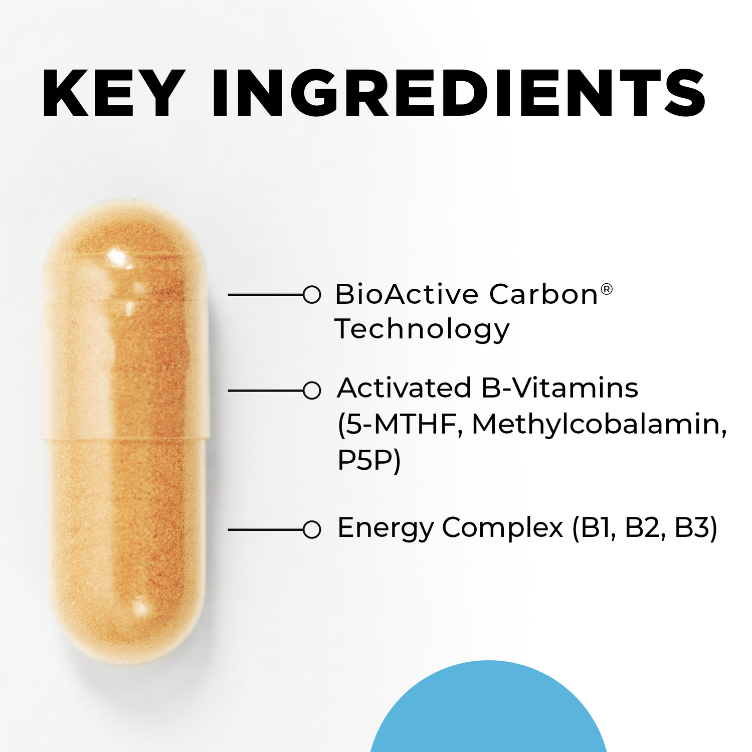 Methyl-B Complex Key Ingredients