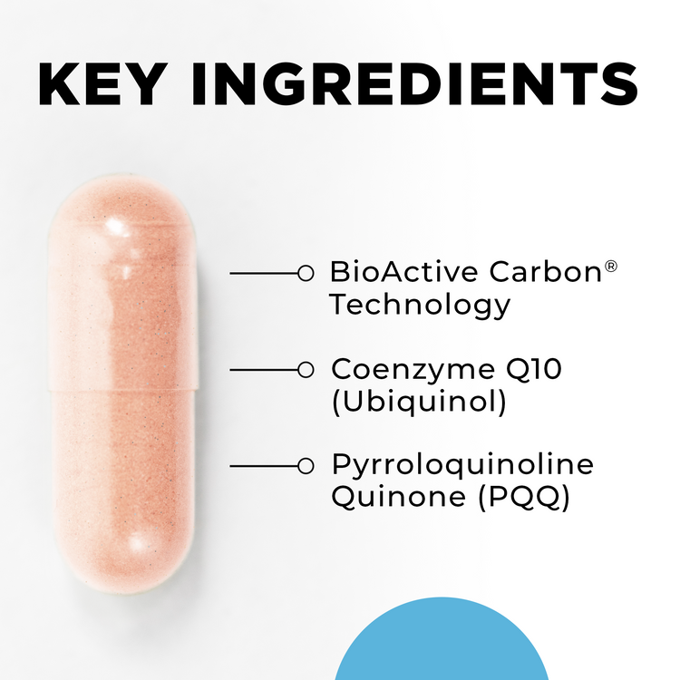 MitoActive Key Ingredients