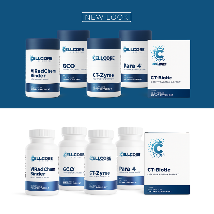 C.A. Support Bundle
