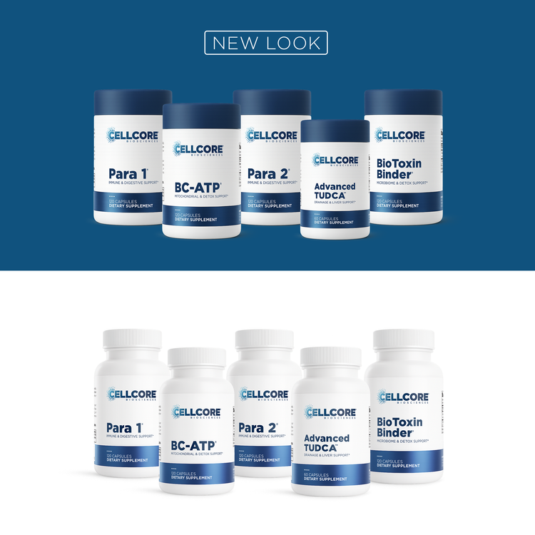 Phase 2: Gut & Immune Support