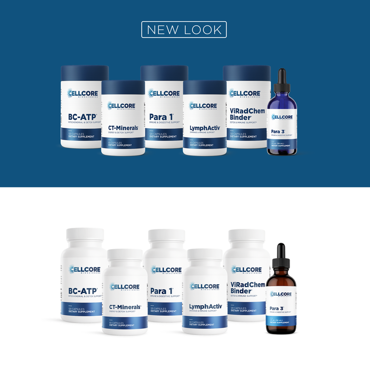 Phase 3: Whole Body Immune Support