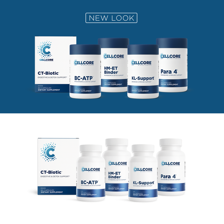 Phase 4A: Systemic Detox