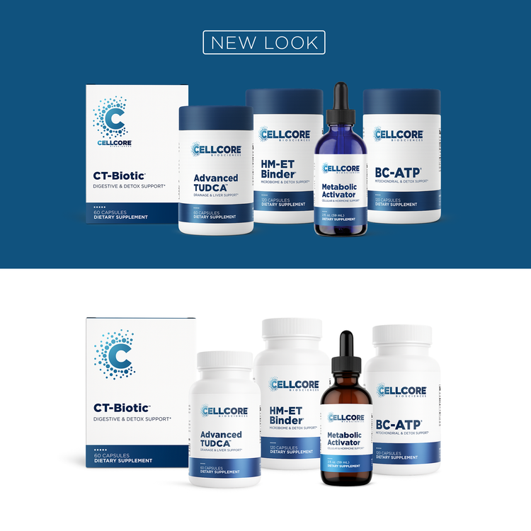 Phase 4B: Systemic Detox