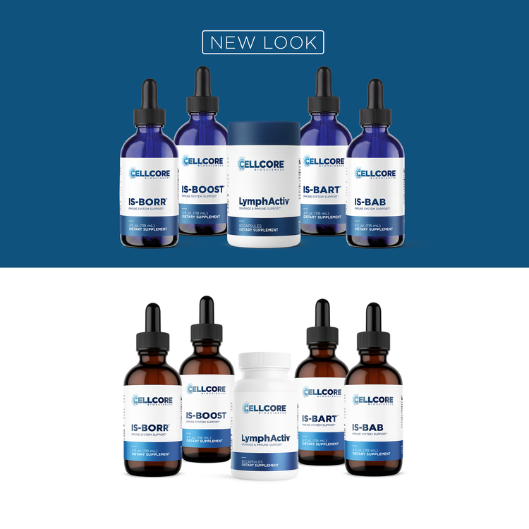 Phase 5: Deeper Immune Support