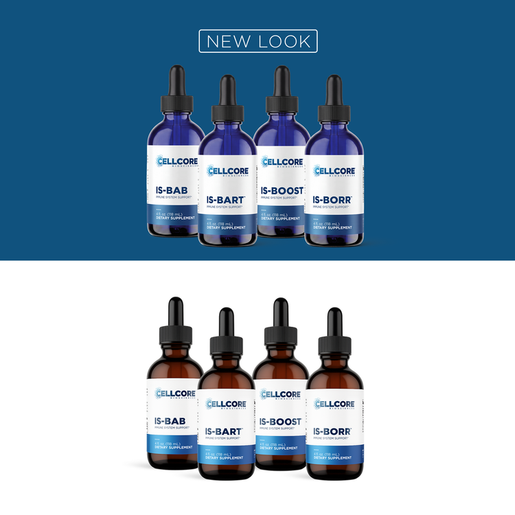 Dr. Jaban’s Neuroinflammation Protocol | Phase 3 | Step 2