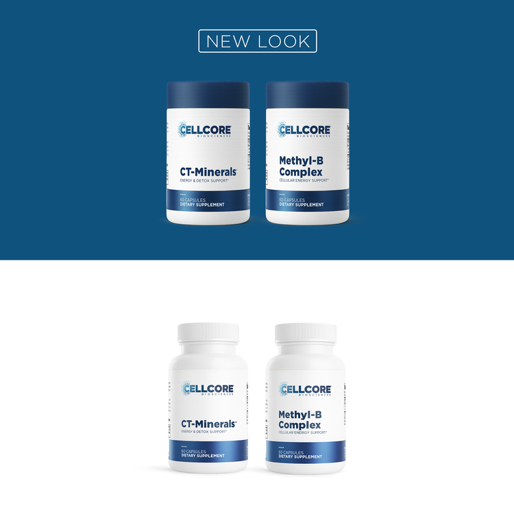 The Hormone Guru’s ECO26 Protocol | Phase 2