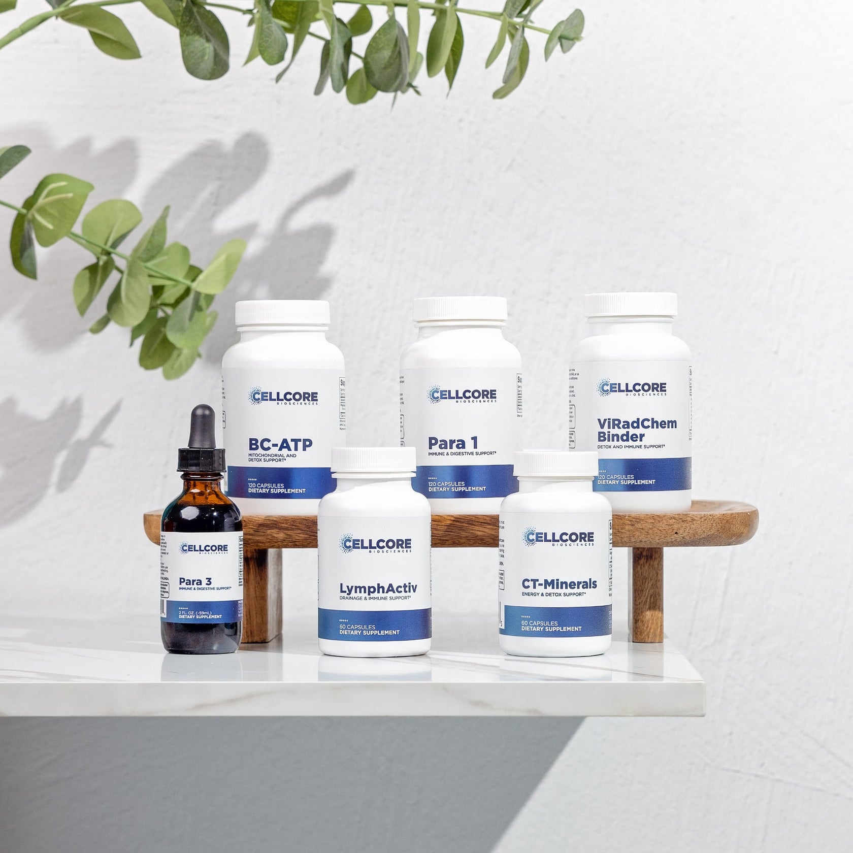 Phase 3: Whole Body Immune Support – CellCore Biosciences